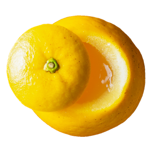 河内熟子