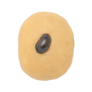 1月おはぎ白味噌